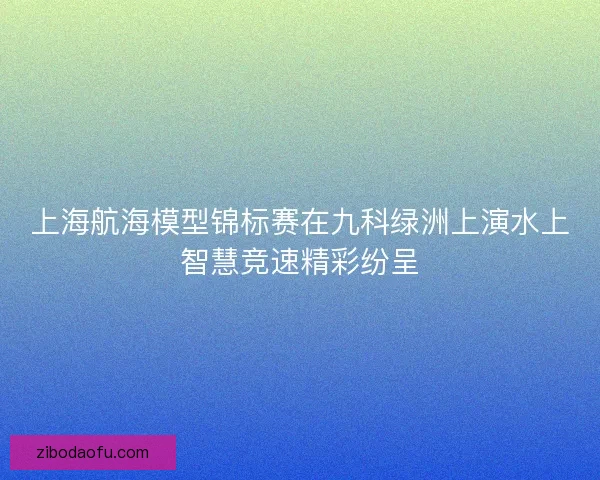 上海航海模型锦标赛在九科绿洲上演水上智慧竞速精彩纷呈
