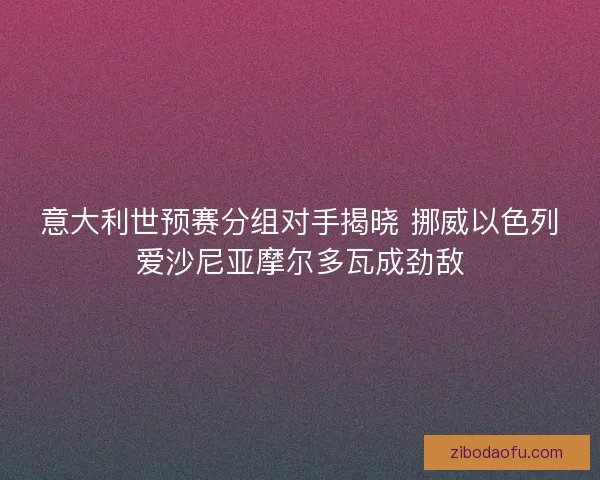 意大利世预赛分组对手揭晓 挪威以色列爱沙尼亚摩尔多瓦成劲敌
