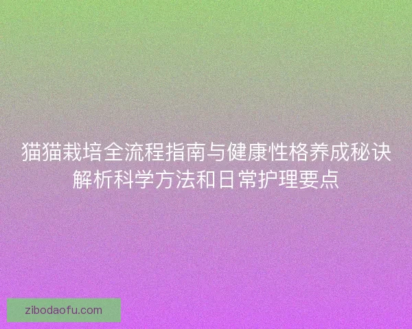 猫猫栽培全流程指南与健康性格养成秘诀解析科学方法和日常护理要点 猫猫栽培全流程指南与健康性格养成秘诀解析科学方法和日常护理要点