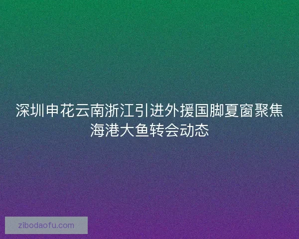 深圳申花云南浙江引进外援国脚夏窗聚焦海港大鱼转会动态 深圳申花云南浙江引进外援国脚夏窗聚焦海港大鱼转会动态