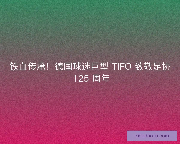 铁血传承！德国球迷巨型 TIFO 致敬足协 125 周年