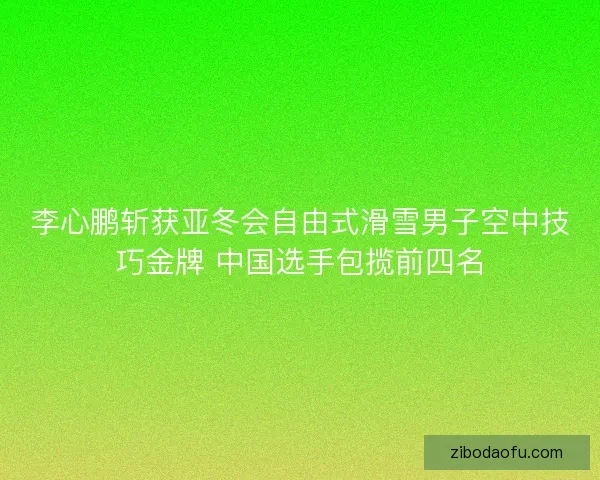 李心鹏斩获亚冬会自由式滑雪男子空中技巧金牌 中国选手包揽前四名 李心鹏斩获亚冬会自由式滑雪男子空中技巧金牌 中国选手包揽前四名