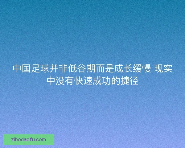 中国足球并非低谷期而是成长缓慢 现实中没有快速成功的捷径