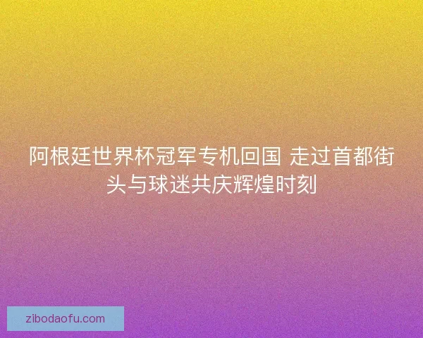 阿根廷世界杯冠军专机回国 走过首都街头与球迷共庆辉煌时刻 阿根廷世界杯冠军专机回国 走过首都街头与球迷共庆辉煌时刻
